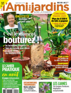 Campagne 17/08/2025